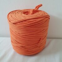 FETTUCCIA COTONE ZUCCA GR 600+